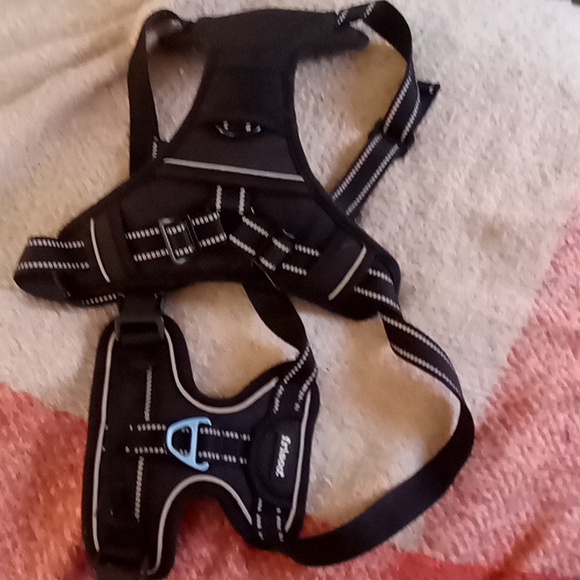 Padded reflective dog harness size XL - Picture 1 of 4